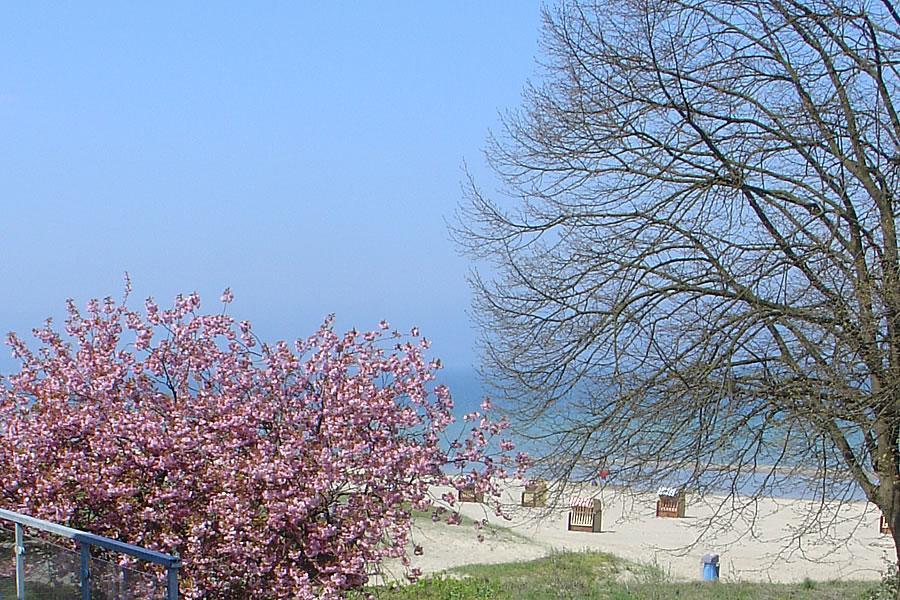 Villa Hansa Am Meer Timmendorfer Strand Esterno foto